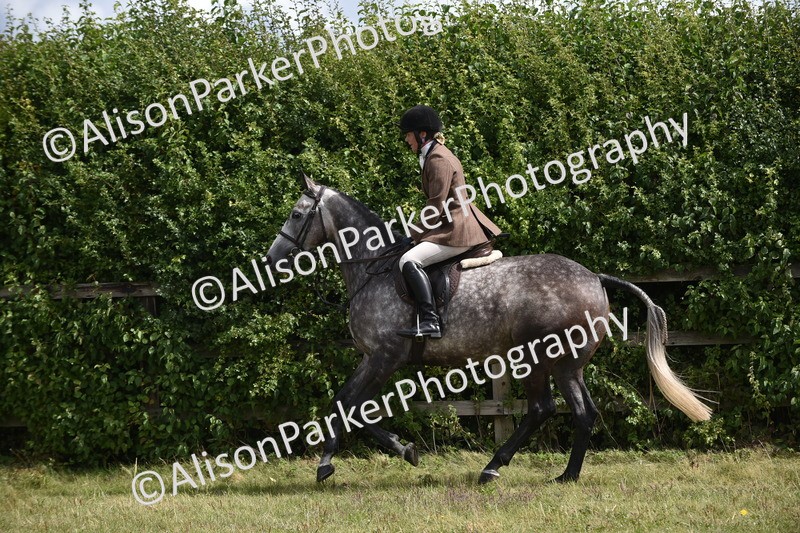 20250831-4061 - Class 13 - Working Hunter Horse or Pony