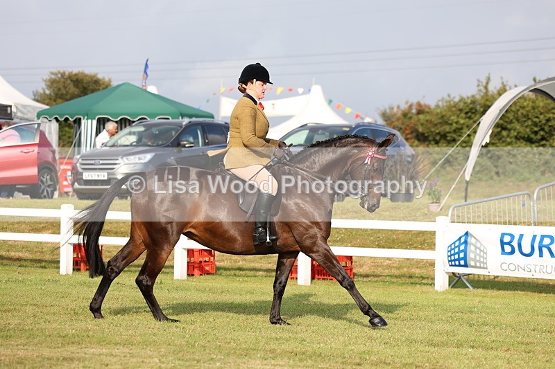 3E7A7695 - Class 1: Rising Star Small Hack/Riding Horses