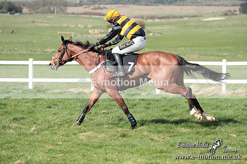 PtP 230324 579 - Tedworth Hunt PtP Larkhill Raccourse 23rd March 2024