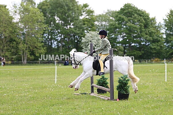 IMG_2539 - Working Hunter