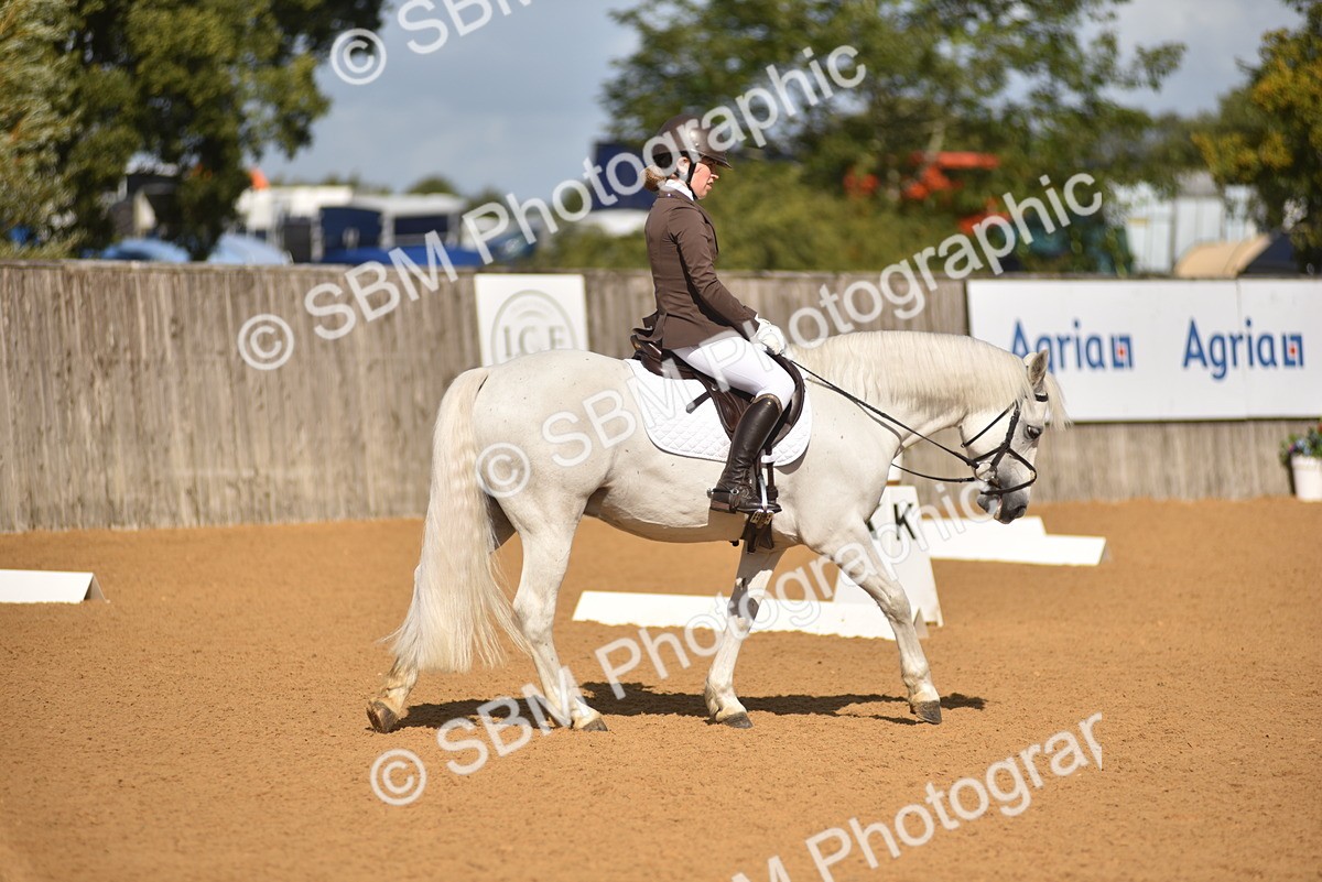 SBM_03238 - D4 - Small Tour Championship Intro 4