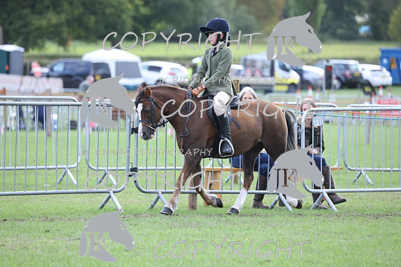 APP_4152 - Class 15a/b Pony club pony/Riding club horse
