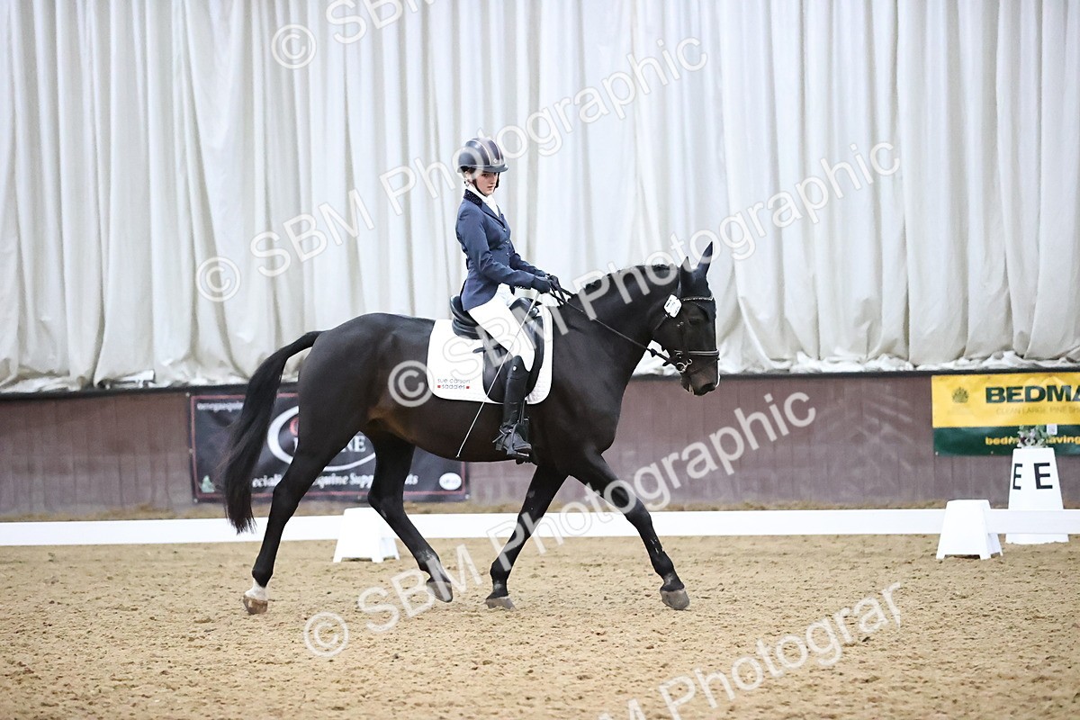 SBM_004340 - Intermediate
