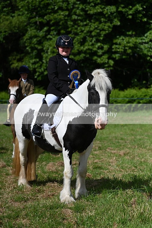 WJ7_0823 - Class 8 First Rally Pony