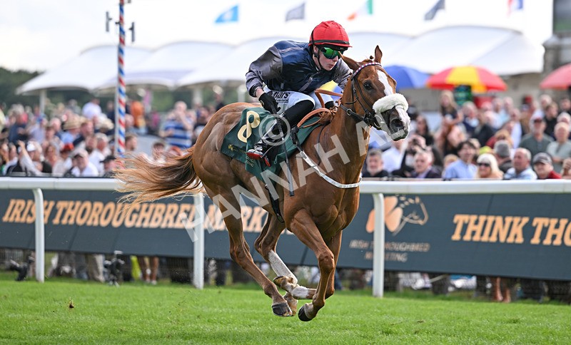 190826-222 Miss Yechance - Race 6 16.45pm Irish Thoroughbred Marketing Handicap