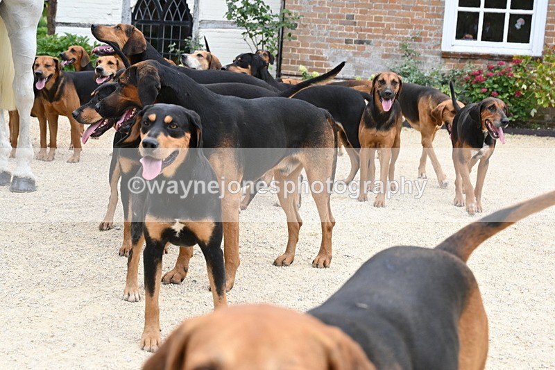 WJ6_3566 - Berks & Bucks - The Old farmhouse - Hound Exercise 20-08-25