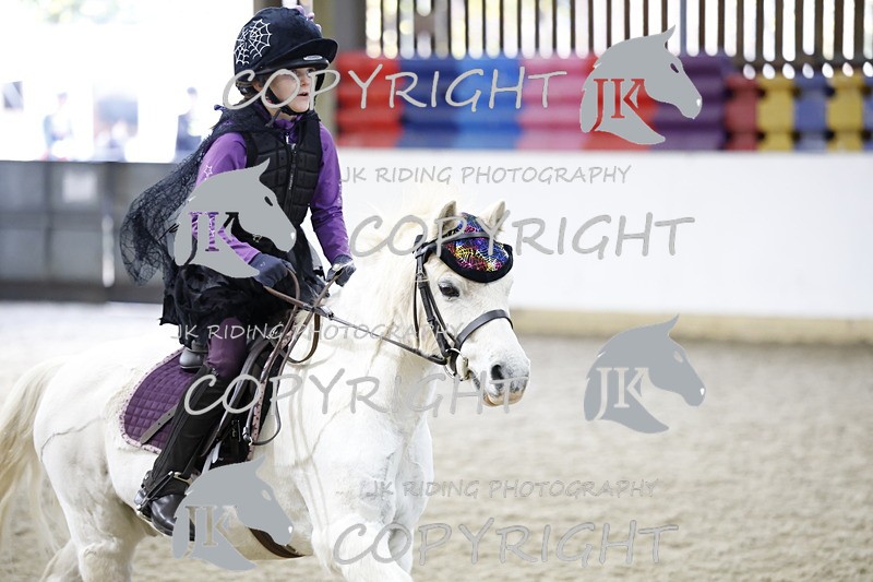 _T0A0987 - Mini Pairs