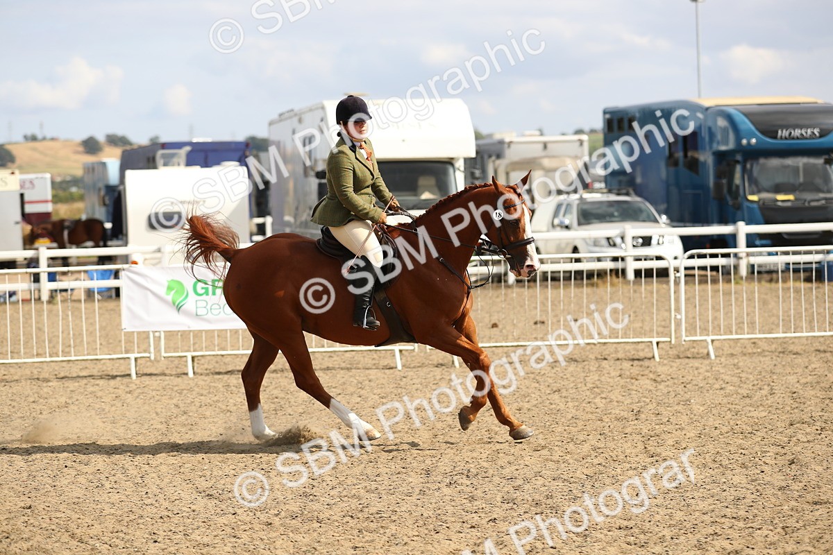 SBM_06890 - Class 49a Style & Performance 80cm (15-19)