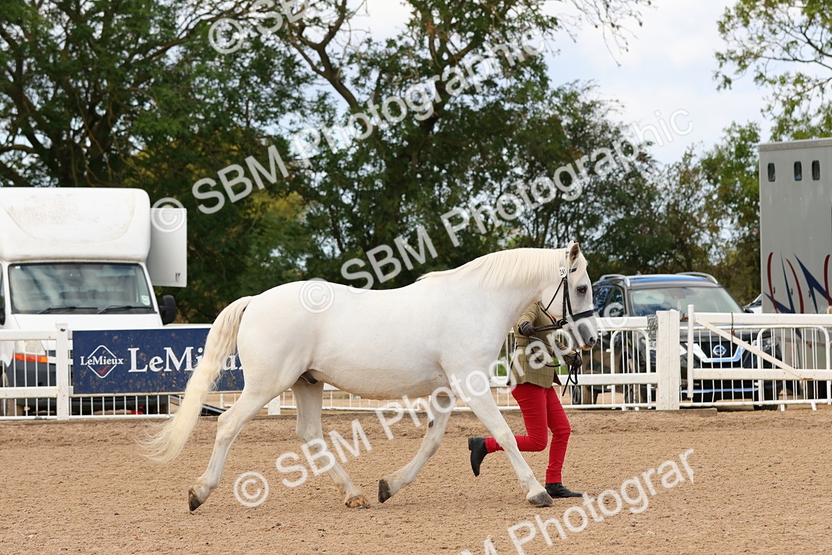 SBM_11943 - Class 209 - IH Veteran Pony
