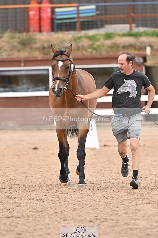 250716-160825-02445 - Trot Up 3.30 to 4.30