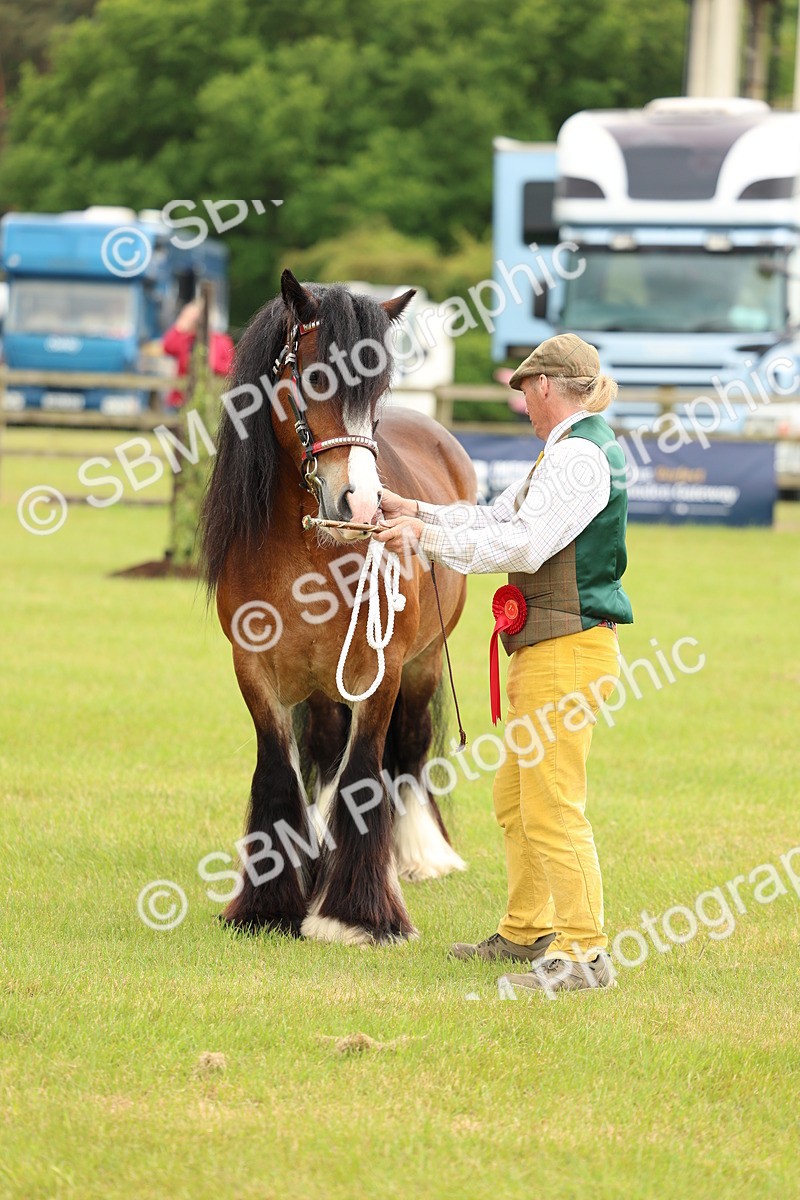 SBM_06288 - Class 39-41 TGCA In Hand and Ridden