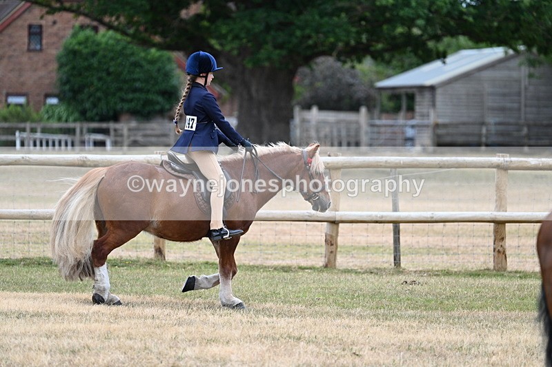 WJ7_0423 - Class 2 Best rider