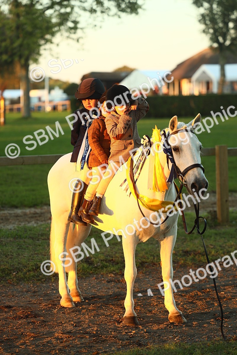SBM_56747 - Fun & Versatile Supreme Championship