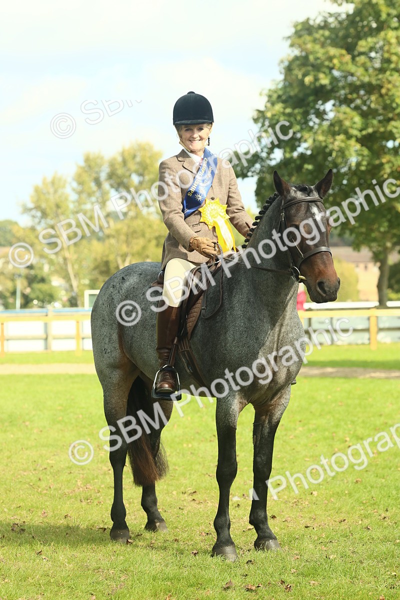 SBM_62696 - S63 - Other Coloured Horse Ridden