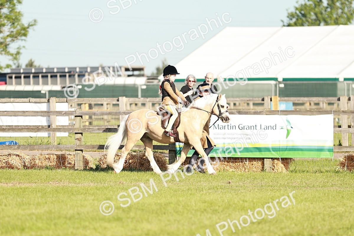 SBM_11056 - Class 106-107 - BSPS LIHS Working Sports Pony