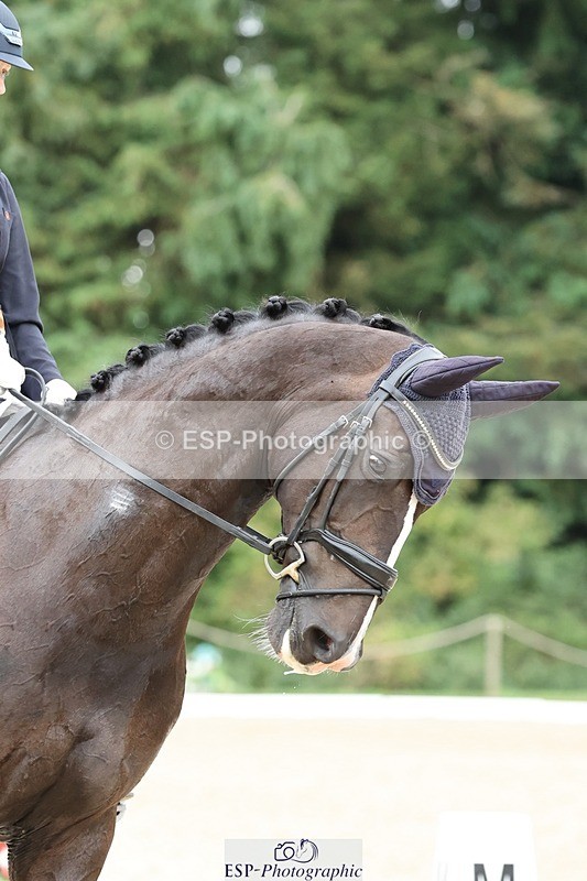 240810-144927-03812 - 212-Bryony.Goodwin-Krack.DE