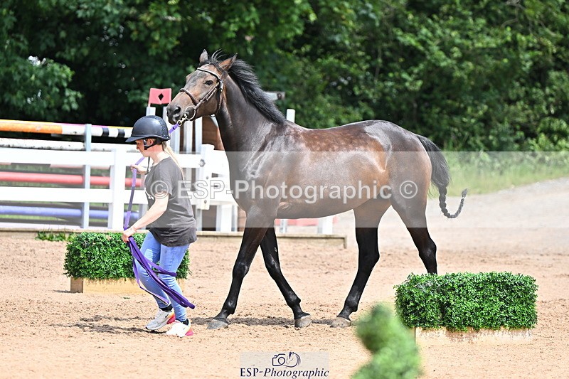 240718A-105304-01531 - Trot Up 12pm to 1pm