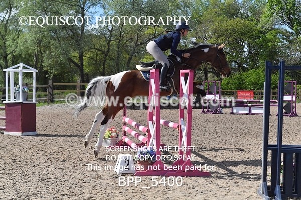 BPP_5400 - CLASS 22 SUN Club/ Unaffiliated 80cms Open