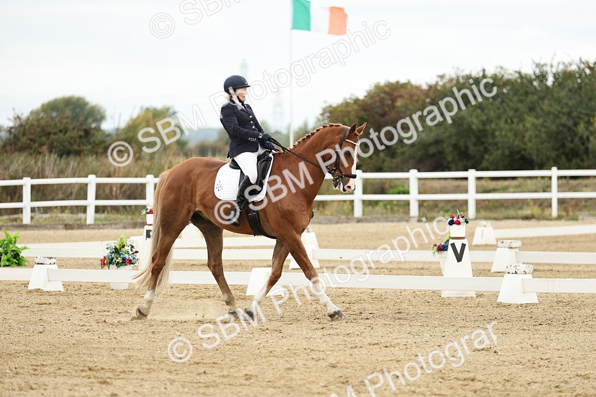 SBM_006628 - Class 21 - Medium 5 Bronze - 9.08-9.48