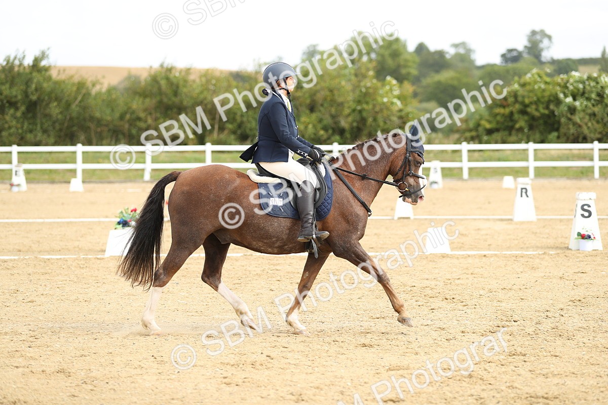 SBM_016294 - Class 13 - Novice 23 - 11.25-12.35