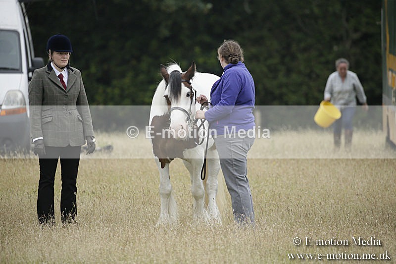 B230619-0021 - Bourne Valley Riding Club Summer Show 23/06/19