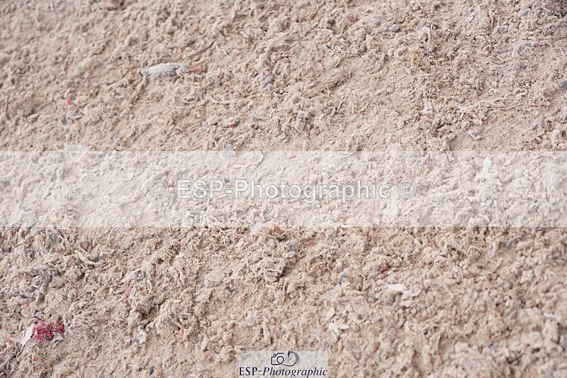 250525-103112-09121 - Cls 32 A&B Snr Brit Nov & 90cm Open