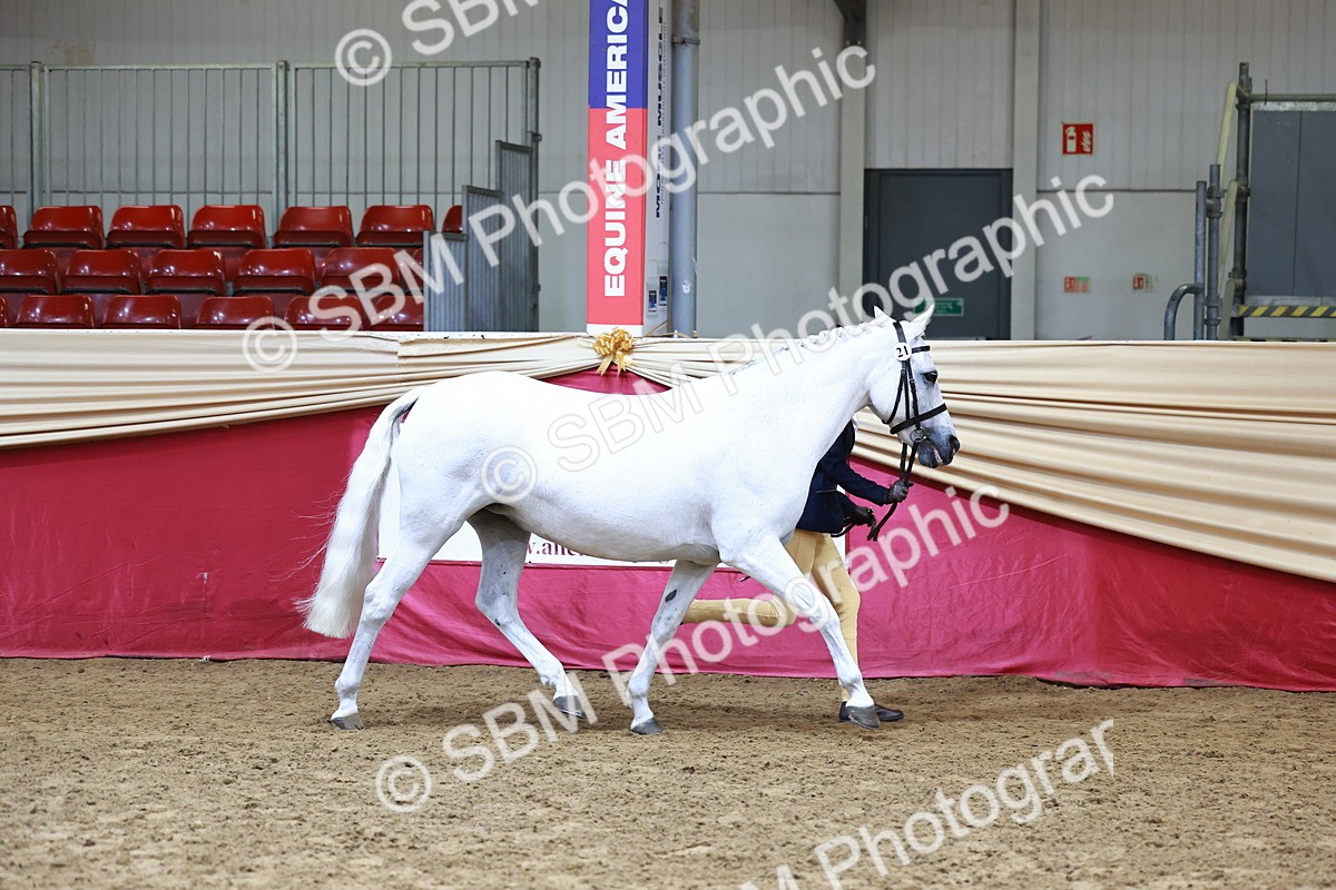 SBM_22263_Class 902 - Supreme Final - IH Veteran - Vicky Gutteridge