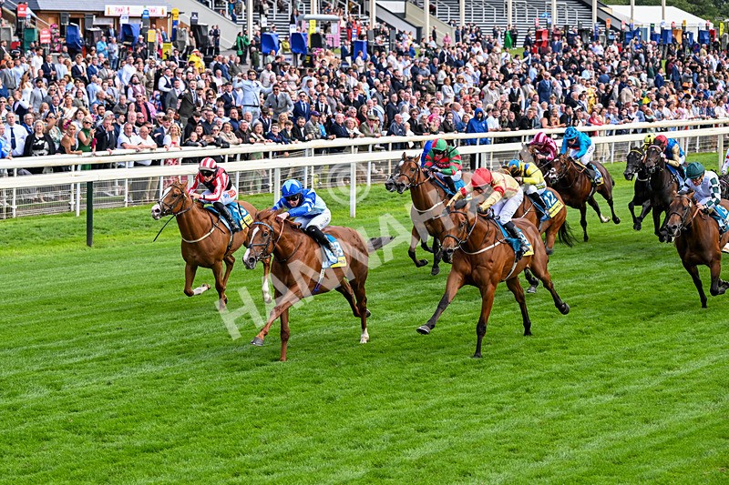 130626-Race 4-Thunder Call-1280 - Race 4 15.35pm Churchill Tyres Supporting Macmillan Sprint Handicap