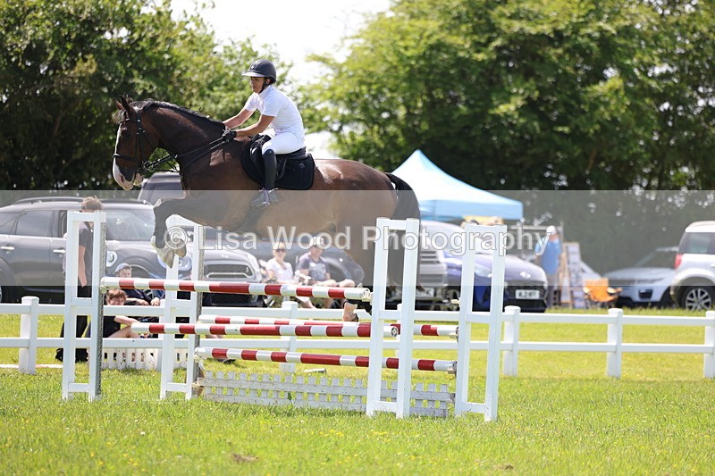 3E7A1315 - Class 12: Senior Foxhunter/1.20 open