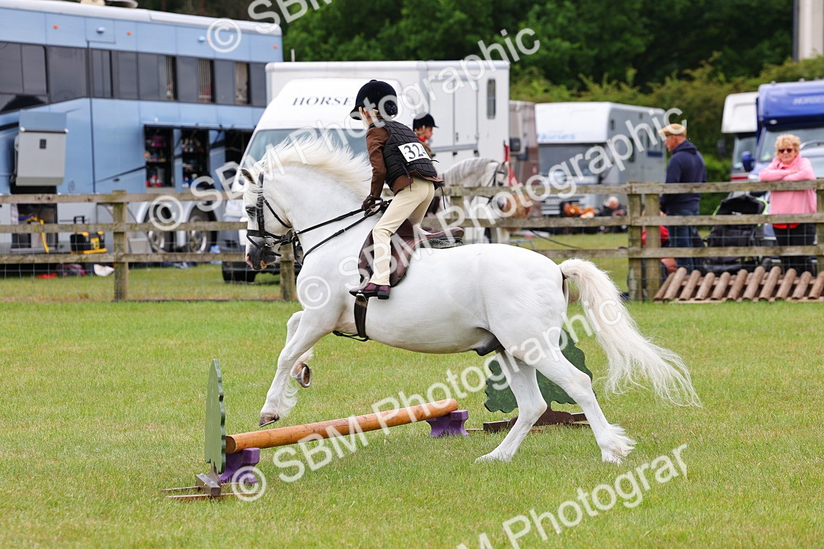 SBM_08687 - Class 42-43 - LIHS BSPS Heritage Working Sports Pony