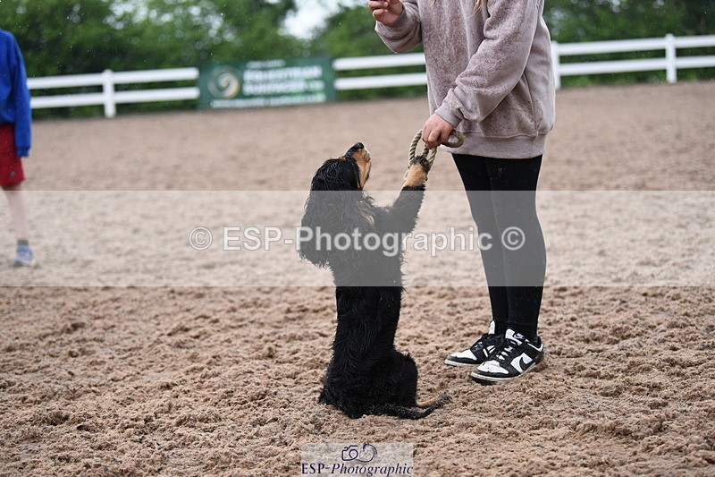 240518A-131358-01270 - Cls 7 Child Handler
