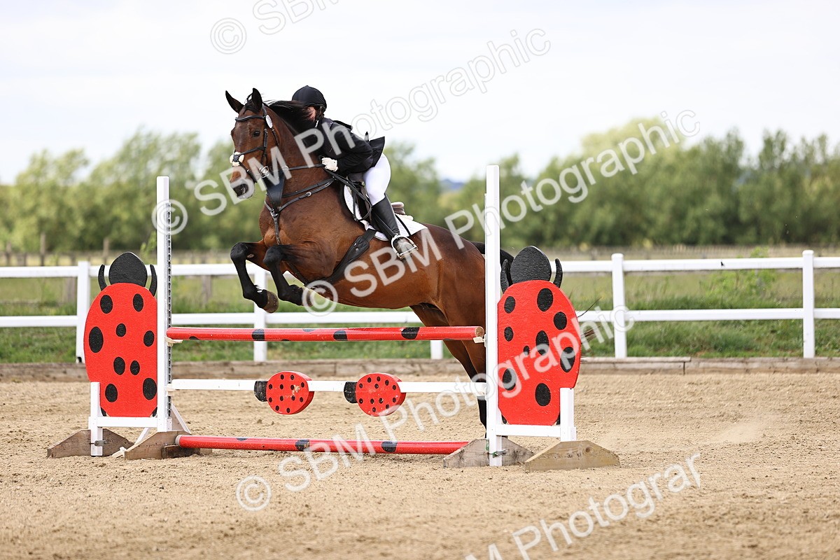 SBM_008004 - Class 3 - 90cm showjumping