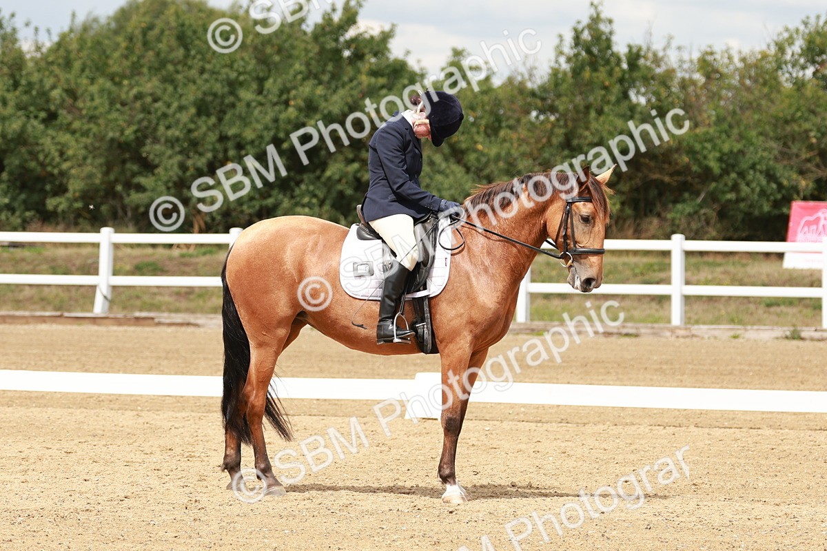 SBM_001773 - Class 8 - Elementary 6