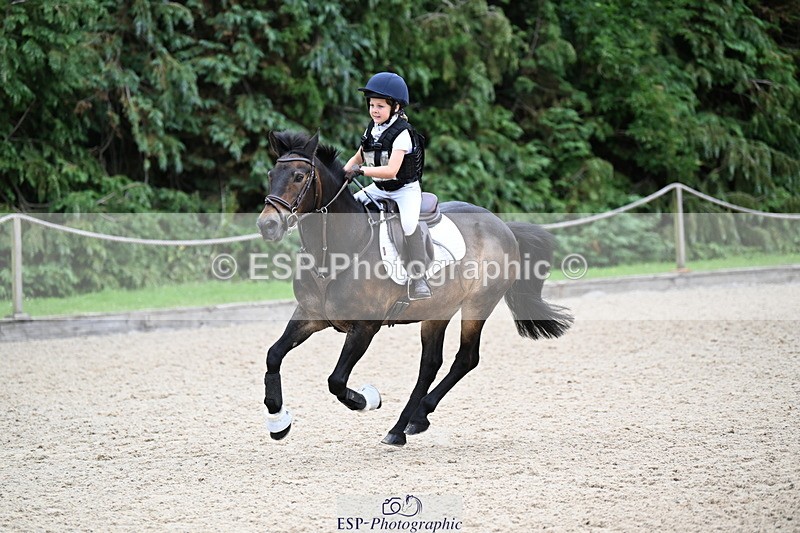 250622A-110601-01079 - 50cm