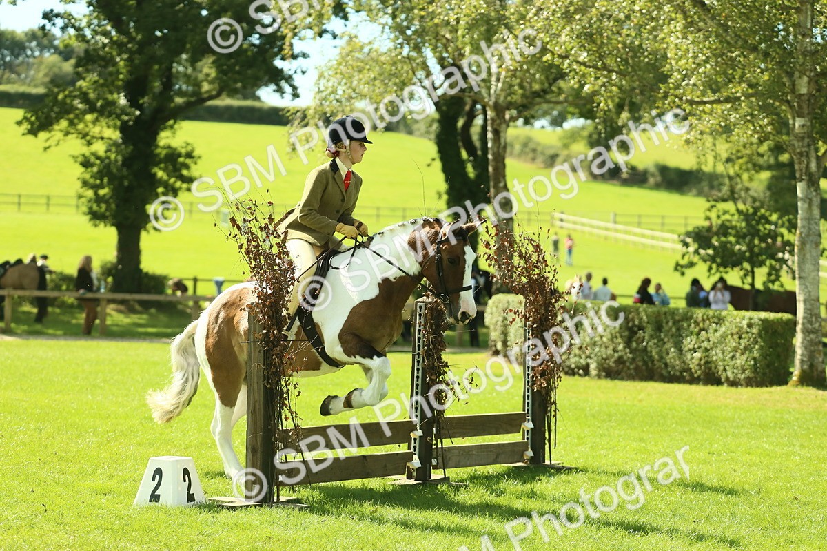 SBM_41971 - S29 - Novice & Newcomers Working Hunter Pony