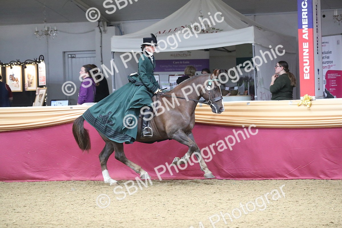 SBM_12133 - Class 107 Ridden Costume- Astride Adult (20+)