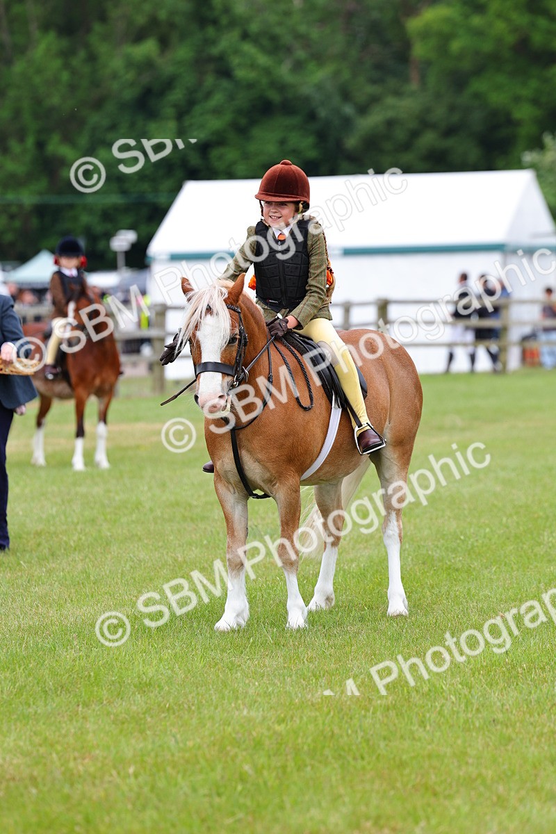 SBM_08748 - Class 42-43 - LIHS BSPS Heritage Working Sports Pony