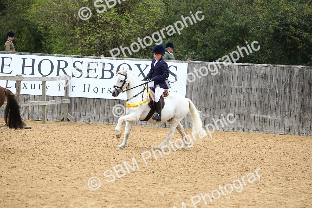 SBM_60200 - J63 - Junior Pony 50cm Championship