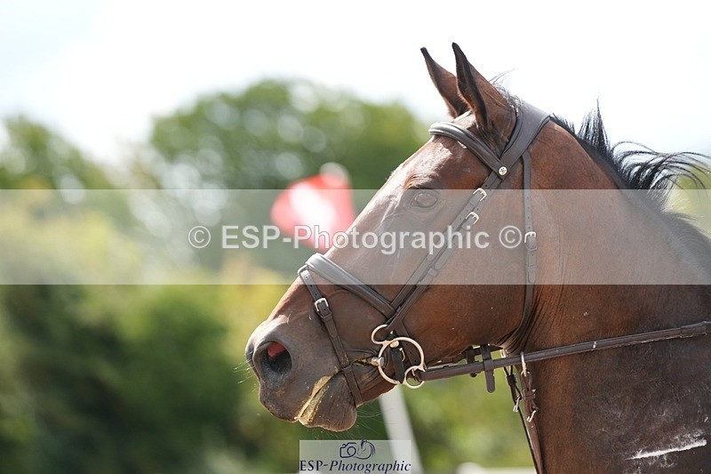 250731-145009-02008 - Cls 11 A&B 1.10cm Nat Am & 1.10 Open