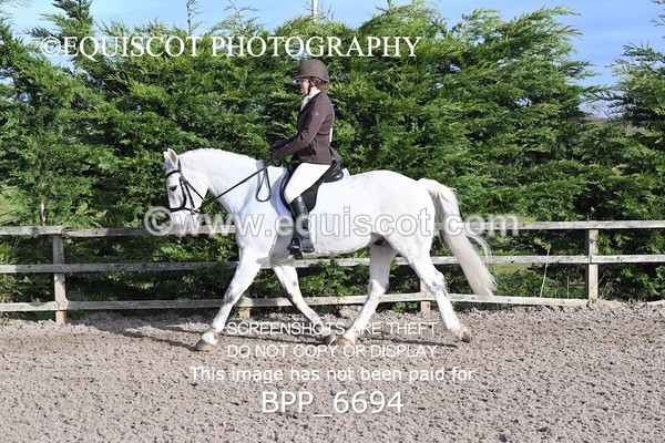 BPP_6694 - RING 1  (RIDDEN HORSES / IN HAND / VETERAN ETC)