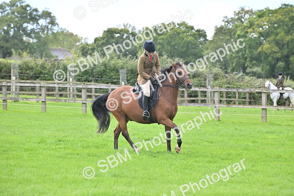 SBM_44473 - S13 - Pony Club Pony
