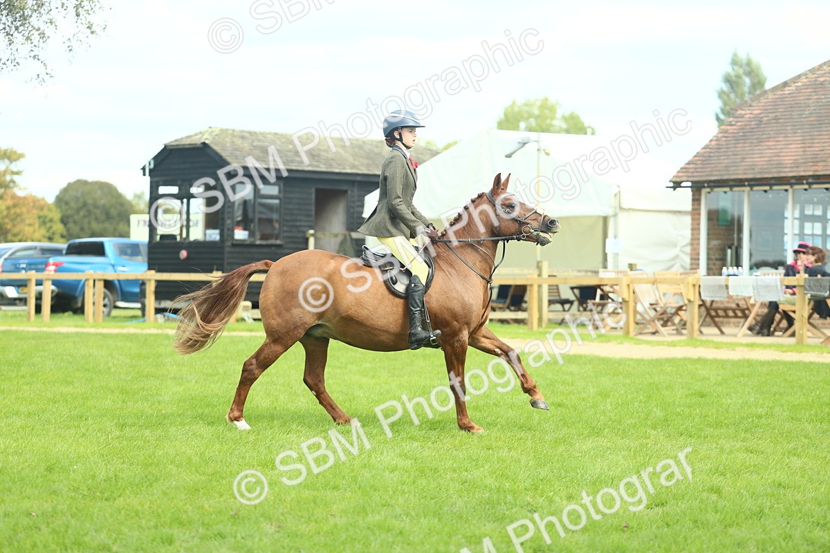 SBM_44561 - S31 - Working Hunter Pony
