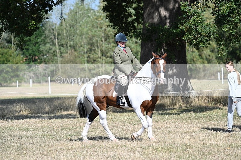 WJ7_2776 - Class 8 Ridden Tack & Turnout