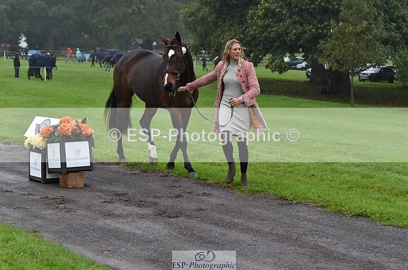 231018-120332-00051 - 057-OVERTON.TILANA'S.GOLD-Claire.Deuten-TrotUp