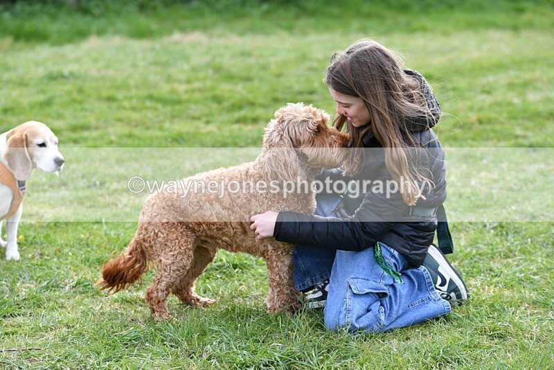 WJ5_0190 - Class 5 Best Veteran / 7 years & over