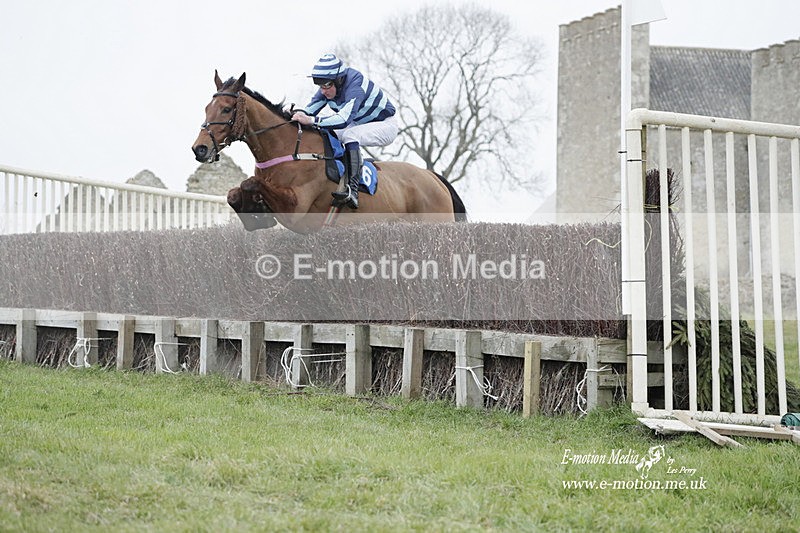 PtP 040323 821 - Duke of Beauforts Hunt Point-to-Point Didmarton 04/03/23