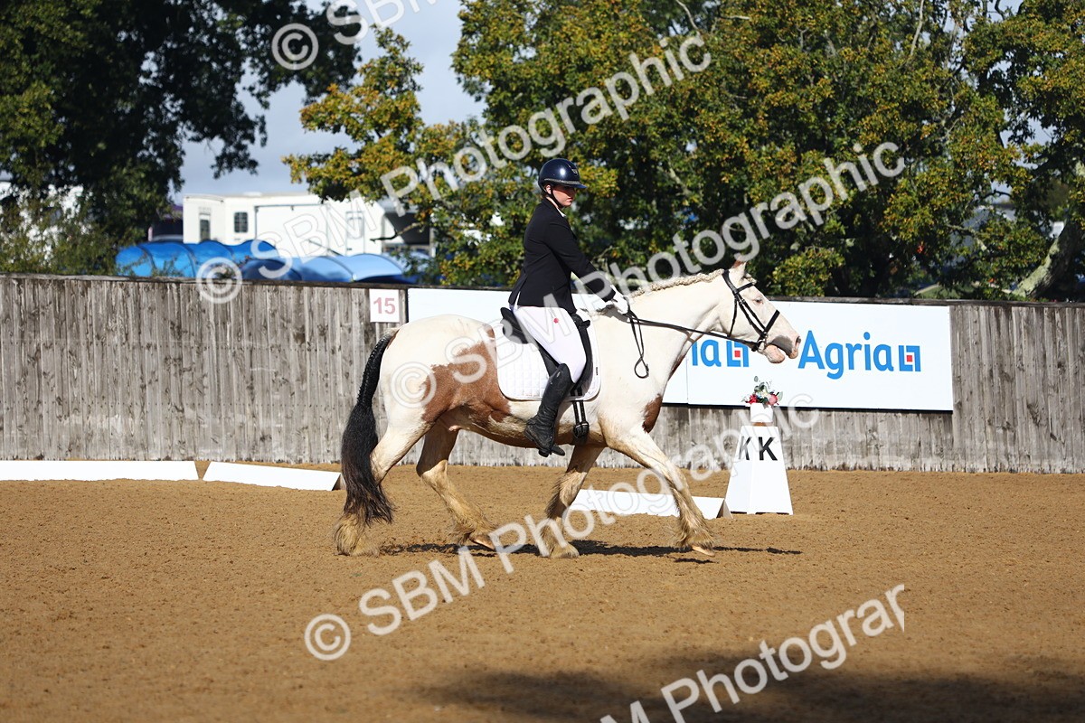 SBM_38997 - D21 - Junior Championship Intro 1