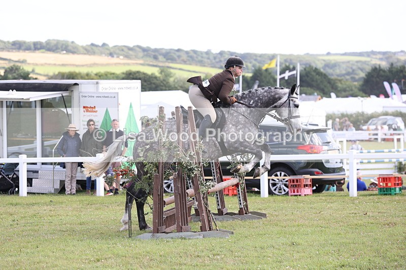 JPP_2687 - Class 20: Working Hunter 70cm