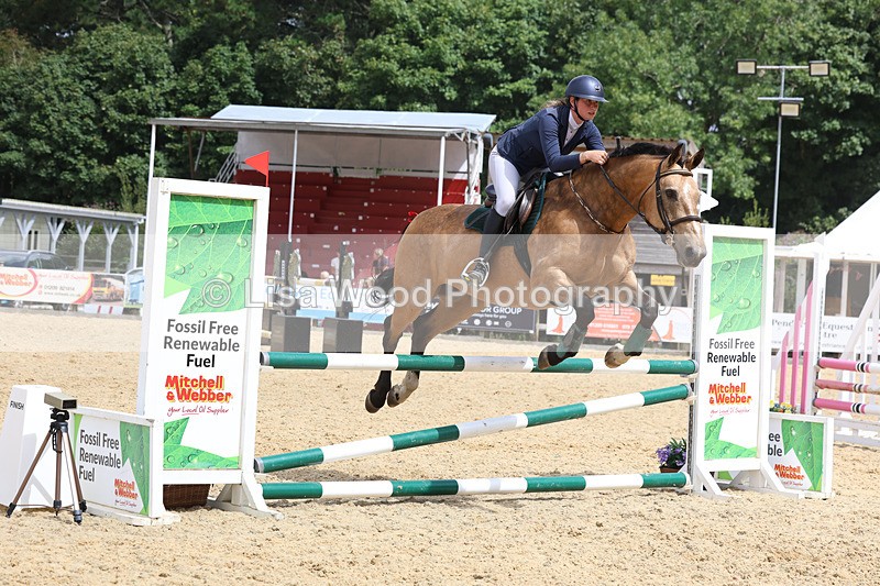 3E7A4880 - Class 4: Senior British Novice/90cm open
