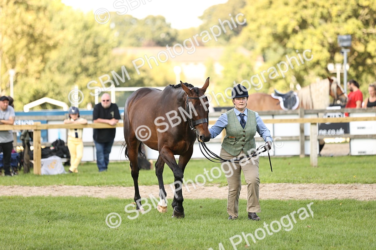 SBM_26259 - S5 - Novice & Newcomers In Hand
